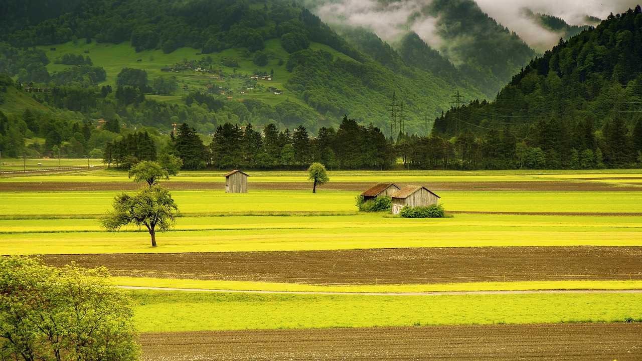 field, valley, landscape, countryside, meadow, farm, rural, hut, arable, village, nature, grüsch, schiers, graubünden, grisons, switzerland, field, landscape, farm, farm, farm, farm, farm, village, village, village, nature, switzerland